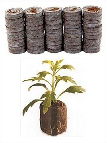 Jiffy 30mm Peat Pellets – 200 Count, Seed Starting Growing Supplies, Round Style, Made In USA