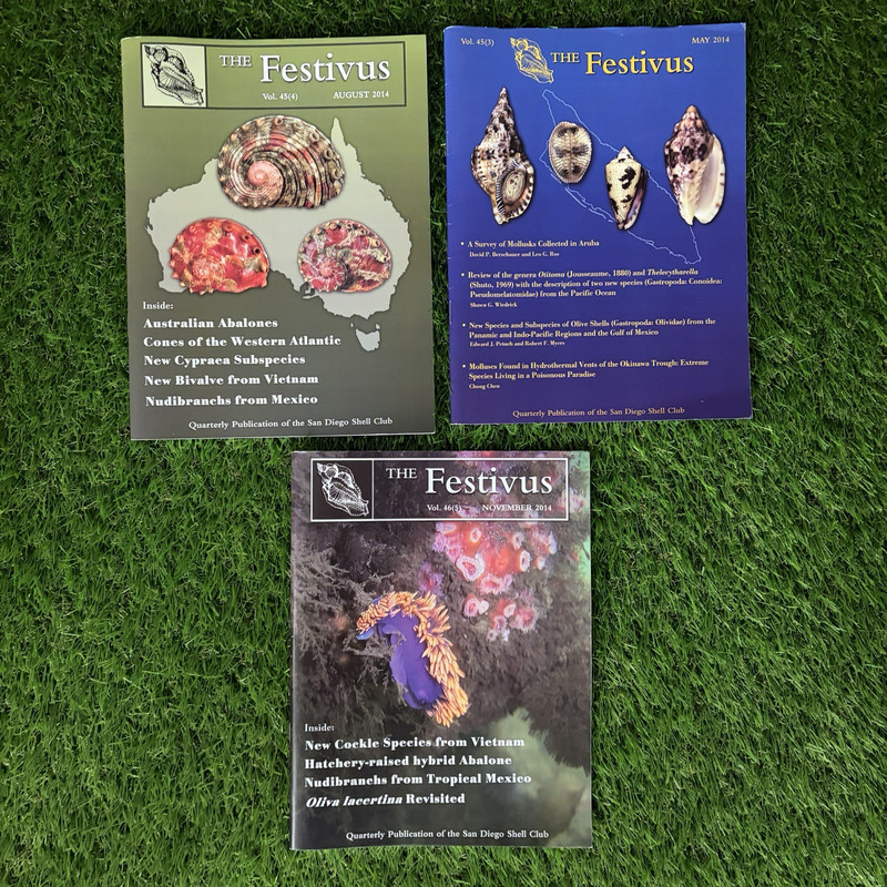 The Festivus Quarterly Publication San Diego Shell Club Lot 2014-2026 Conchology