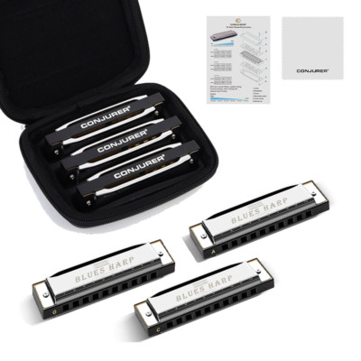 Blues Diatonic Harmonica Set for Beginners 10 Hole Mouth Organ w/ Case