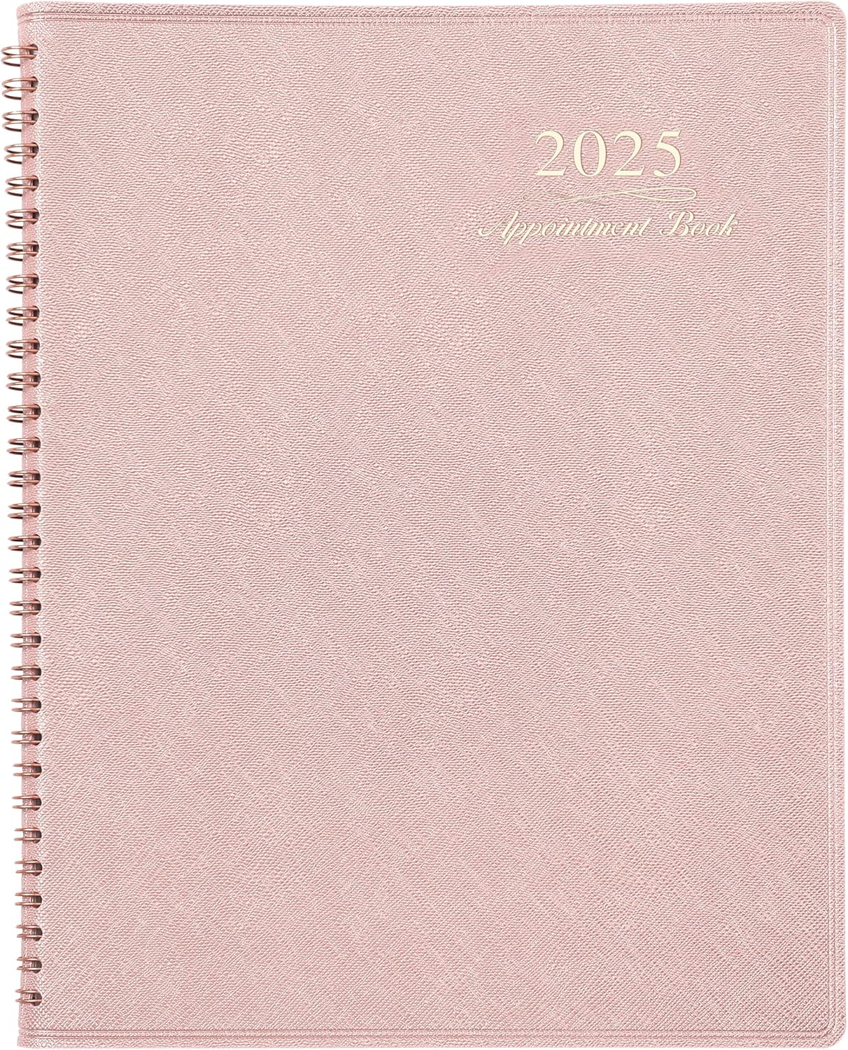 2025 Appointment Book/Planner - Weekly Appointment Book 2025, January 2025 - Dec