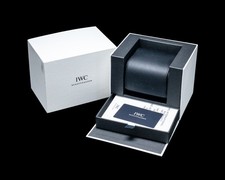 IWC IW357001 Ingenieur Automatic SS Silver Dial 8