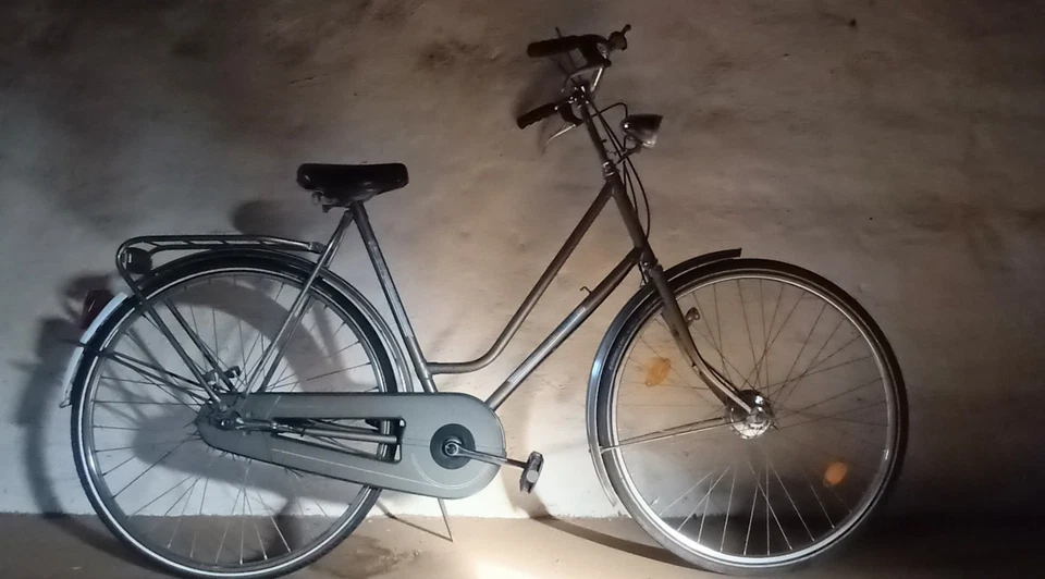 28-er Damenfahrrad Hollandrad Damenrad + 3-Gang Sturmey Archer mit Freilauf