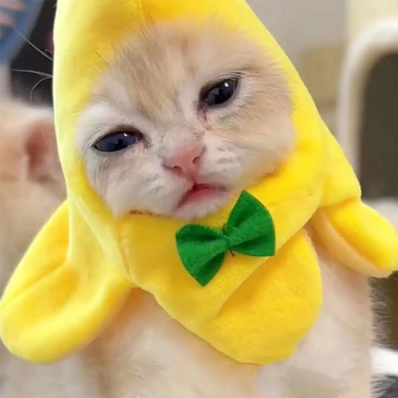 APL Cappello esilarante gatto copri testa di banana costume animale domestico accessori festa cucciolo