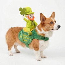 Dog St Patrick's Day Outfit Funny Irish Leprechaun Costume Green Tall Hat Pet Sh