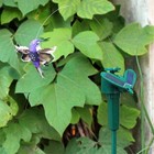 Foto 5 di 6