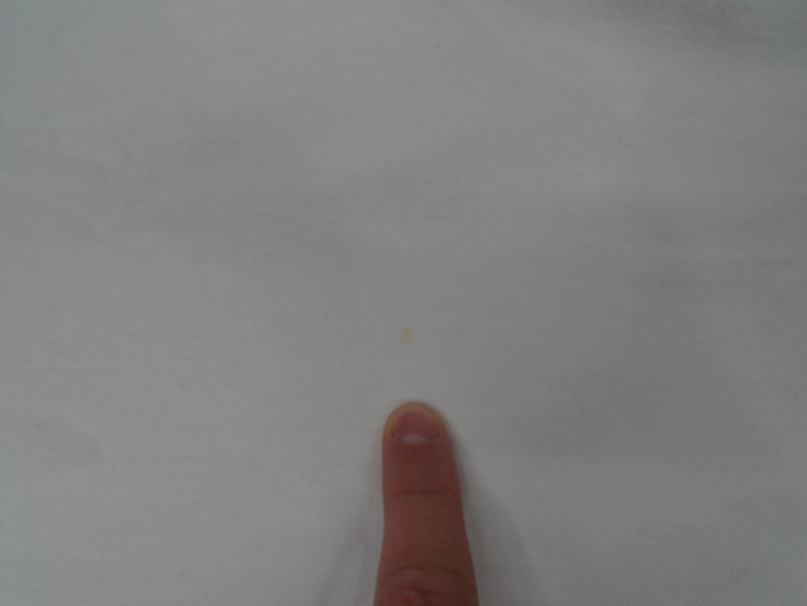 Bild 14 von 14