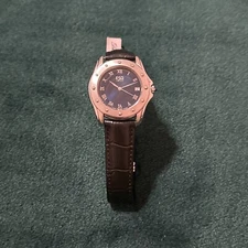 Esquire ESQ Swiss Men’s Wristwatch 