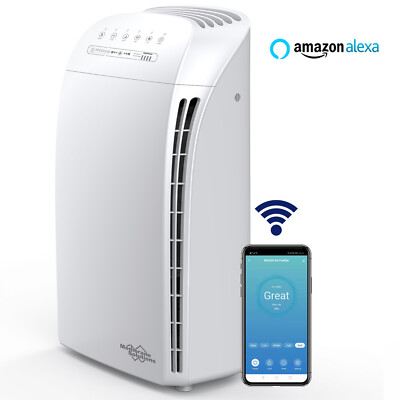 Smart Air Purifier for Allergies Wi-Fi HEPA Air Purifiers for Home Large Room