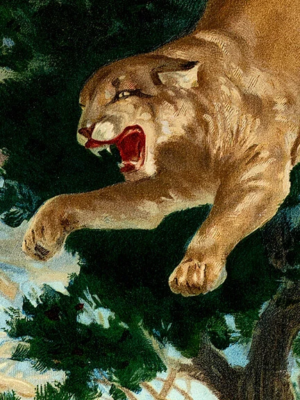 1930s Old Vintage Hunting Poster - UMC Ammunition Cartridges - 16x24 - Image 2 of 3