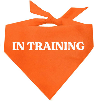 In Training Dog Bandana (Orange, OS 409)