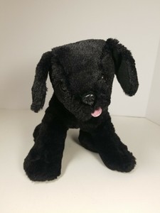 benson black lab