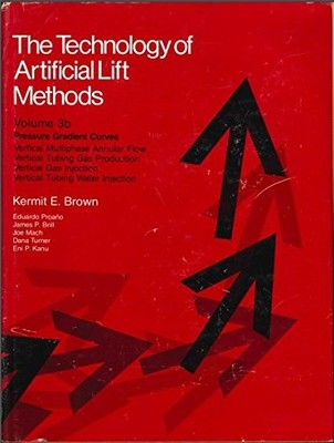 The Technology of Artificial Lift Methods: v. 3B