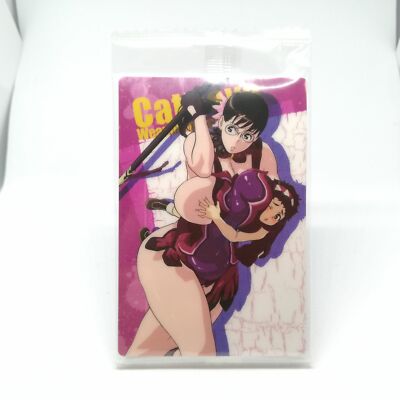 C11 Cattleya Queen's Blade Plastikkarte Gummi Sammelkarte Anime Hobby Japan TCG