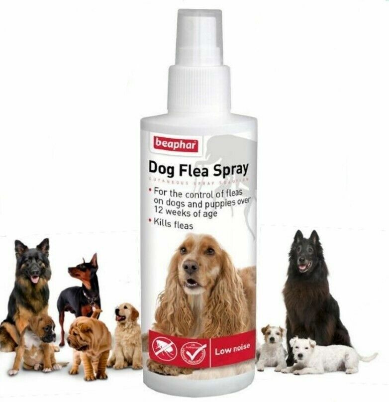 Beaphar Dog Flea Spray 150ml for dogs/puppies 12 weeks and over KILLS
