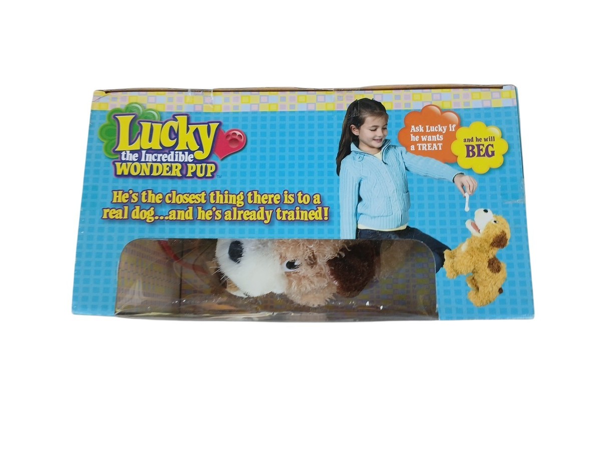 Lucky The Incredible Wonder Pup Zizzle 2006 15 Commands Battery Op