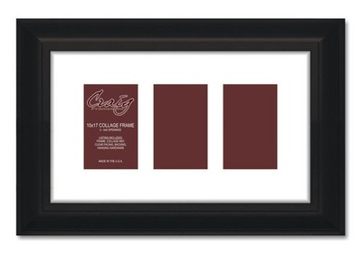 Craig Frames 21834700BK 10 by 17-Inch Black Picture Frame, Single White Collage