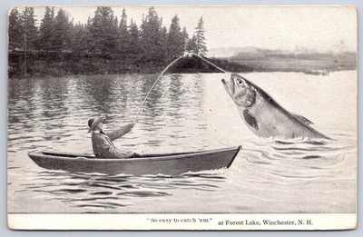 Vintage New Hampshire Postcard WINCHESTER Forest Lake Fishing 1916