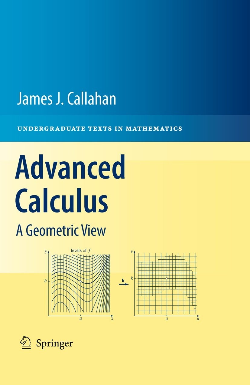 Springer Green Advanced Calculus - Image 3