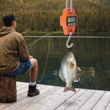 Crane Scale 300kg Digital Hanging Weight Scale LCD Display for Warehouse Lifting