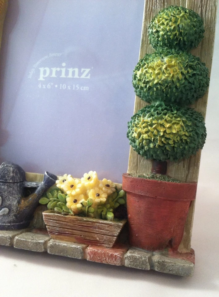 Marco de imagen con vistas de viñeta 3D muy elegante 4"x6" nuevo en caja. Prinz Foto 3 de 4