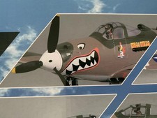 FMS P-39 Hells Bells PNP, 980 mm: Tarnung
