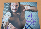 Sabu lot of 3 Signed 8x10 Photo COA ECW WWE autograph — photo 3