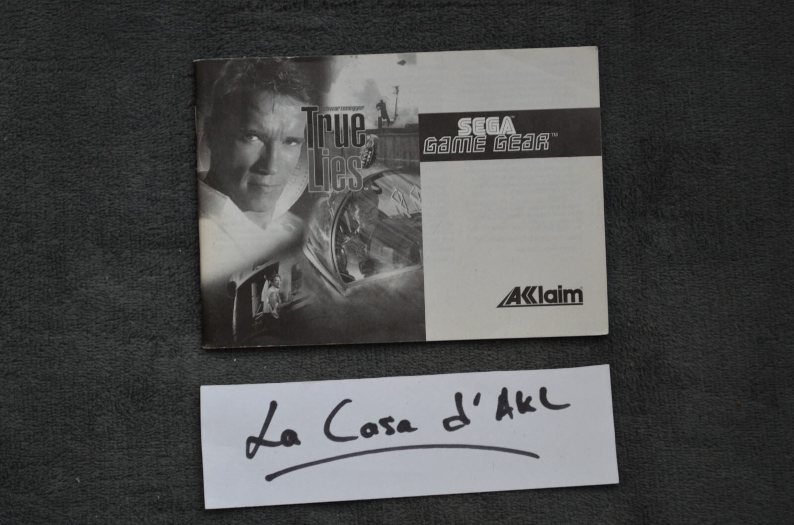 Notice pour Sega Gamegear Game Gear - True lies