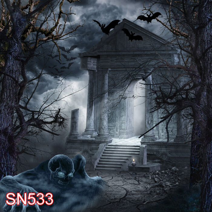 HALLOWEEN 最大73％オフ 8x8 信用 FT CP PHOTO SCENIC SN533 BACKDROP BACKGROUND
