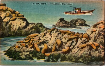 Postcard Seal Rocks San Francisco California Boat Linen | eBay