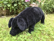 D P L  LEEDS LTD VERY LARGE 80cm BLACK PIG COLLECTABLE SOFT TOY - EXCELLENT