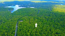 ARKANSAS Land For Sale - Cherokee Village Lake - Bid Down Payment then $60 Month