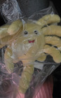 Loot Crate Lot Of 5 Items - Alien and Predator — photo 5