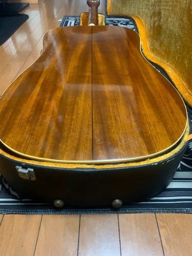 Carlo Robelli Akustikgitarre für Anfänger eingestellt - Bild 9 von 9