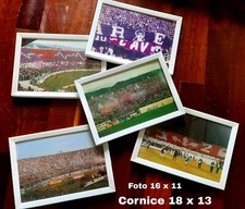 Collettivo Viola 5 quadretti da collezione con vetro in plastica 16 x11 