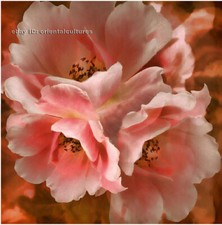 Chinese 100 real natural silk thread,su hand embroidery kits:flower 8"