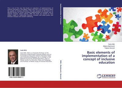 Basic elements of implementation of a concept of inclusive education Taschenbuch