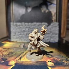 Human Elf Wizard Warlock Sorcerer Miniature Dungeons Dragons DND Pathfinder