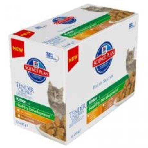 hill's feline kitten