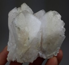 Danburit - Charcas, Mexiko