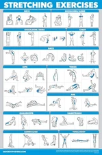 QUICKFIT Stretching Workout Exercise LAMINATED 18" x 24"