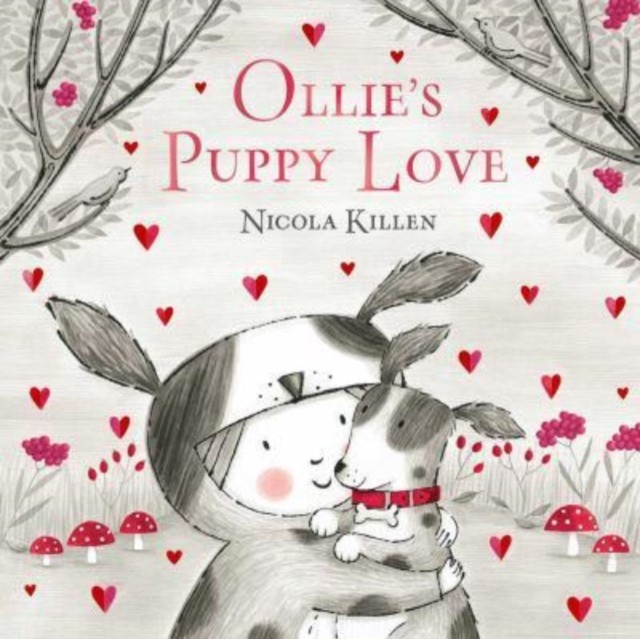 Ollie's Puppy Love by Nicola Killen (Paperback Book)