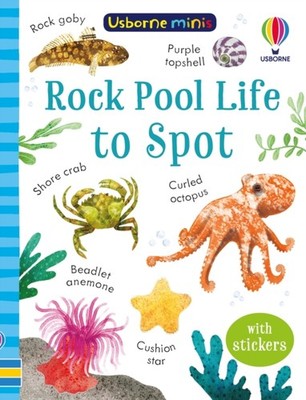 ROCK POOL LIFE TO SPOT by Simon Tudhope Paperback Self Help Business