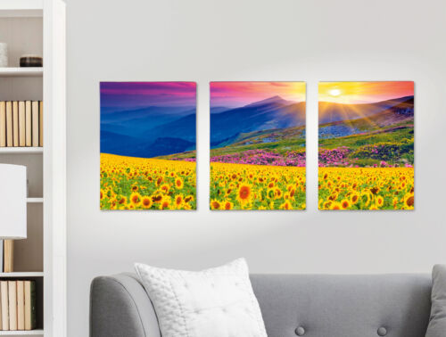 Diamond Painting "Sonnenblumen und Berge" Triptychon, 3 x 40 x 30 cm Basteln - Bild 1 von 9