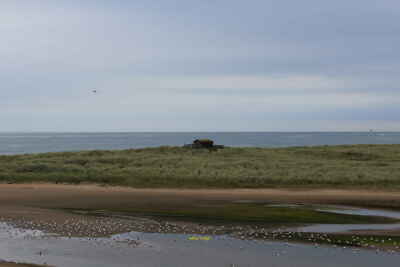 Foto 12x8 Blick über Long Nanny Brunton Burn Blick aufs Meer vom Schlepper um 2021