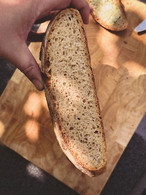 Sauerteig Anstellgut Knusperkruste demeter Roggenvollkorn Anstellgut 60g