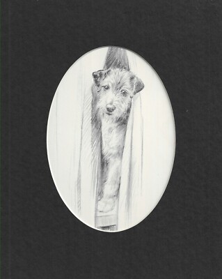 Airedale Terrier ''Cue'' - CUSTOM MATTED - Vintage Dog Art Print - 1948 KF Barker