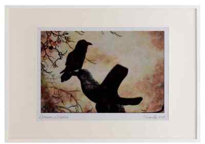 591001 Gemeiner Rabe Aquarell Bilderrahmen