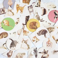 45PCS Realistic Cat Stickers Cute Stationery Scrapbooking Planner Diary Stickers