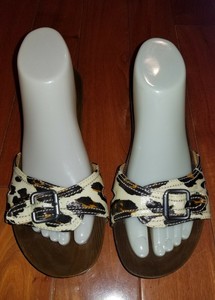 leopard print dr scholls