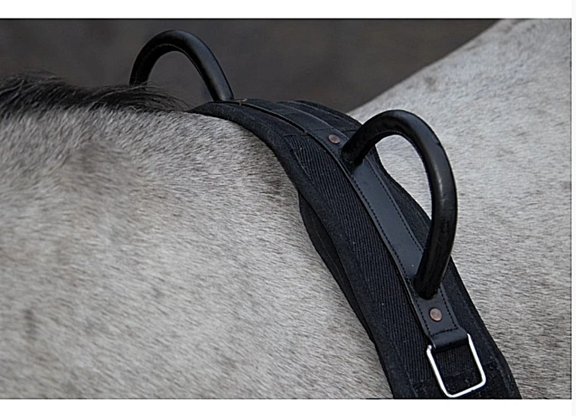 HKM Longiergurt mit 2 Griffen ideal für Bodenarbeit Kinderreiten Holzpferd - Bild 2 von 2